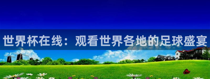 2026世界杯对阵图:世界杯在线:观看世界各地的足球盛宴