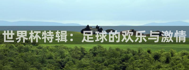 2026世预赛赛程表:世界杯特辑:足球的欢乐与激情